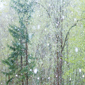 爱情岛永久地址www成人
